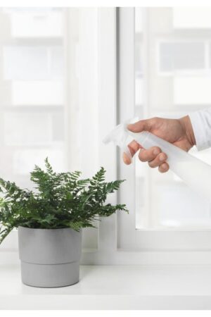 Water Spray Bottle for Watering Plants